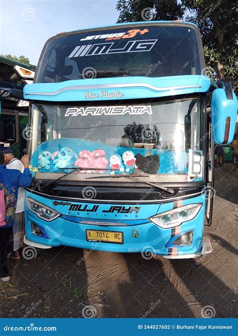 Passengers are calling for more frequent bus 51 bus route service 12