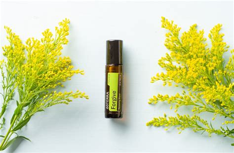dōTERRA Forgive - Renewing Blend | Healthy You