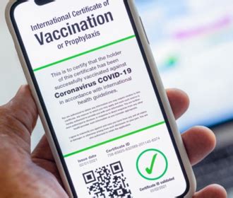 В ЕС призвали страны вводить сертификаты вакцинации до 1 июля - Версии ...
