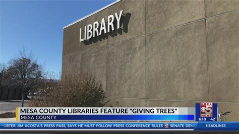 Libraries Host Giving Trees Youtube