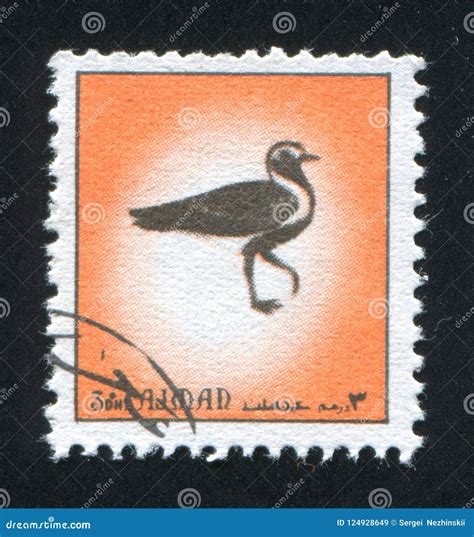 Bird Editorial Stock Image Image Of Wildlife 1972 124928649