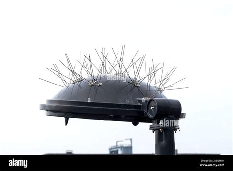 Anti Bird Spikes