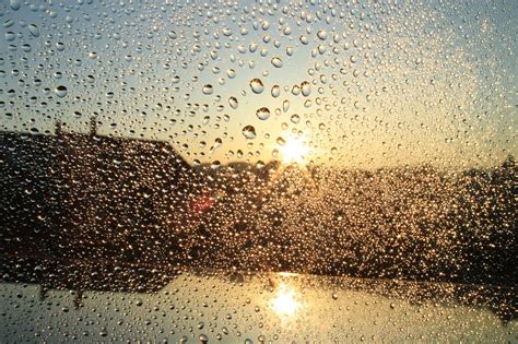 Sun Water Drops - Free photo on Pixabay - Pixabay