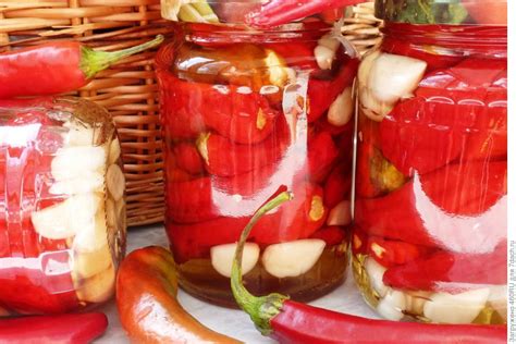 Острый перчик в уксусно-сахарном сиропе на зиму. Пошаговый рецепт с фото