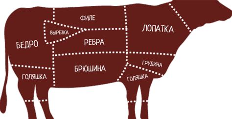 Цены на говядину оптом и в розницу