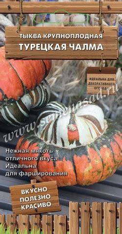 Тыква крупноплодная Турецкая чалма