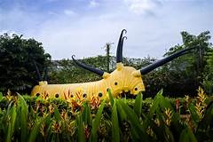 Daisyblooms The Ultimate Guide To Creating A Butterfly Paradise