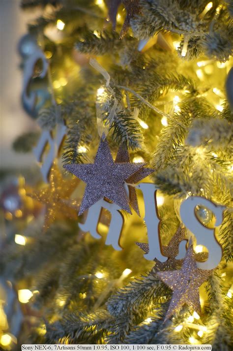 Краткий обзор Sony NEX-6 | Радожива