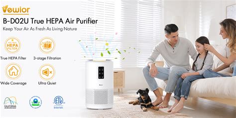 Can Air Purifiers Help With Asthma Vewior