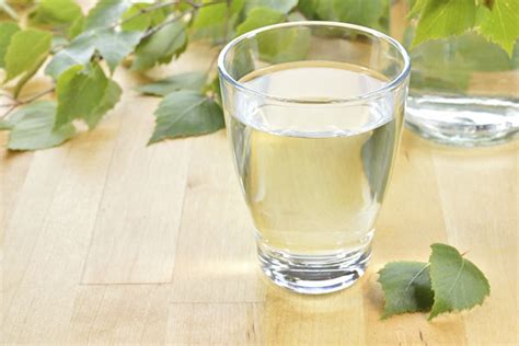 Берёзовый сок: состав, польза и вред, когда собирают