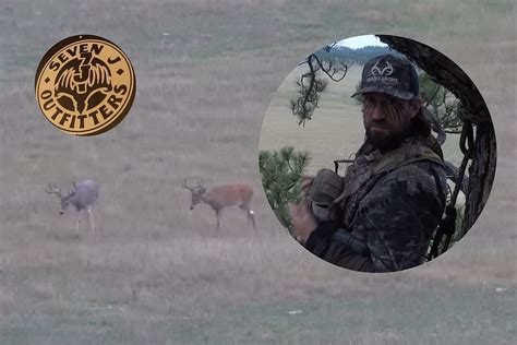 Rare Footage Of Moose Shedding Antler In Laramie Wy Video