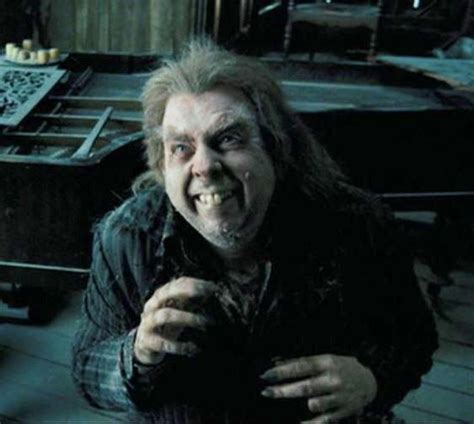 Harry Potter And The Prisoner Of Azkaban Peter Pettigrew