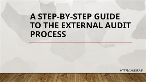 step  step guide   external audit processpptx