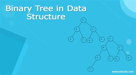 Binary Tree in Data Structure - Definition, Illustration, How to Explain