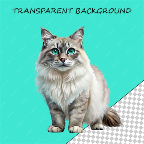 Premium PSD | Studio photograph of a transparent background showing a