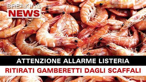 Allarme Rischio Listeria Gamberetti Pericolosi Ritirati Dagli Scaffali