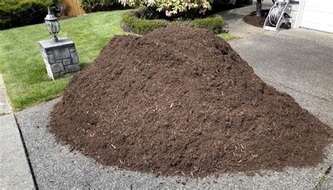 Topsoil Vs Potting Soil Differences Potting Mix Explained