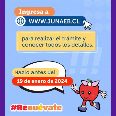 Junaeb Inicia Proceso De Renovación Y Postulación A La Becas De Mantención Colegio Bajo Molle