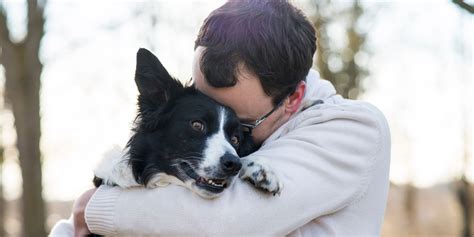 Do Dogs See Humans As Parents – What The Science Says!