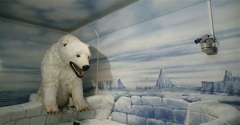 Inside A Prague Brothel Where Sex Is Free If You Perform For The Web