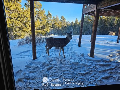 Casper Mountain Cabin For Sale Casper Wyoming