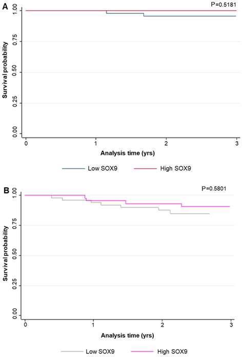 Survival analysis. The effect of high and low SOX9 expression on (A) OS ...