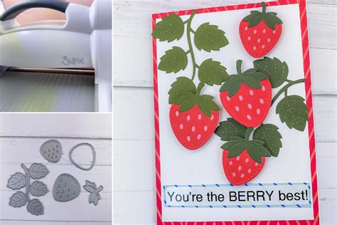 How To Use Sizzix Big Shot And Unboxing