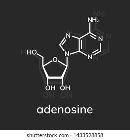 Adenosine Chemical Formula On Dark Background Stock Vector Royalty