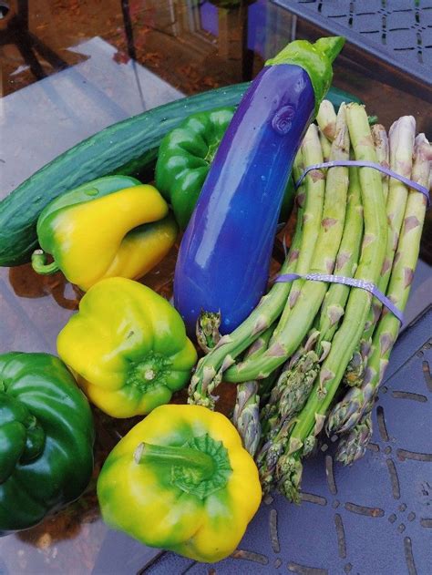 Selfdelve Aubergine Eggplant Girthy Silicone Dildo Review Super Smash Cache