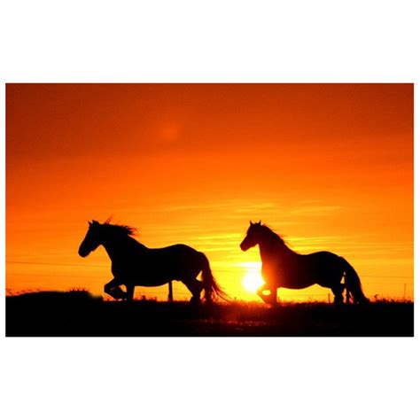 Horse Silhouette Sunset at GetDrawings | Free download