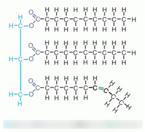 Monomer Structure Of Lipids