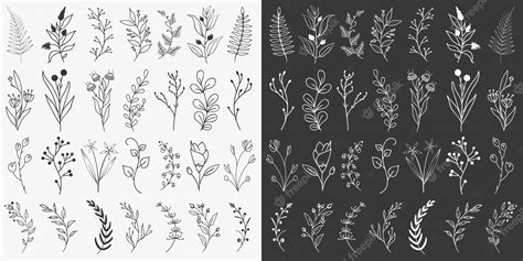 Premium Vector Hand Drawn Floral Elements Set