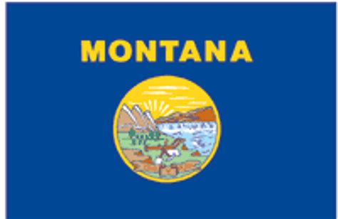 Montana State Flag 3x5 - Uncommon USA