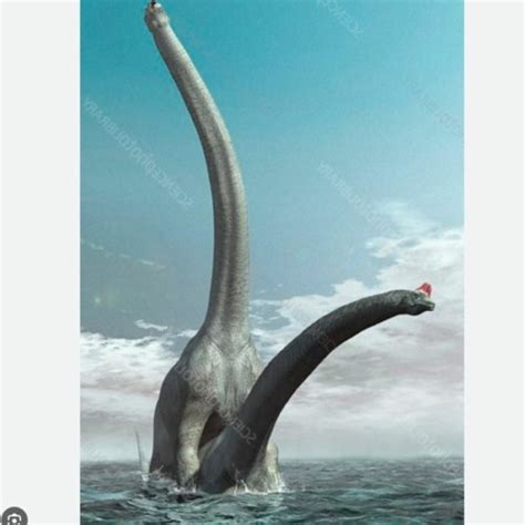 Stream Two Long Neck Ass Dinosaurs Having Hot Sex In The Ocean Type Beat By Thiefcat Listen