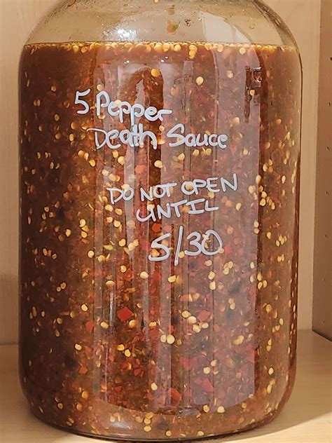 Total Noob Third Hot Sauce Attempt R Fermentation