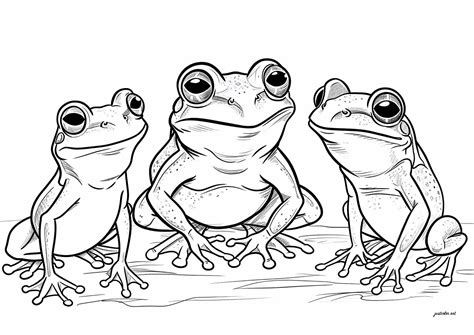 coloring pages frog 8