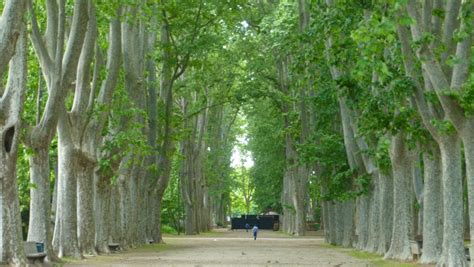 Parque De La Devesa En Girona Parque Municipal En Espa A