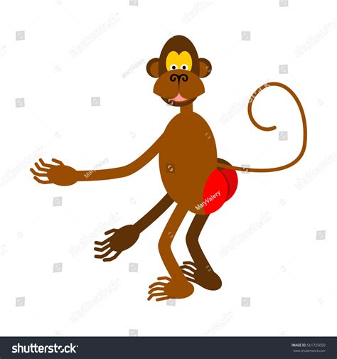 85 Baboon Ass Royalty Free Images Stock Photos Pictures Shutterstock