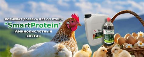Аминокислотные составы SmartProtein | Наша компания предлагает широкий ...