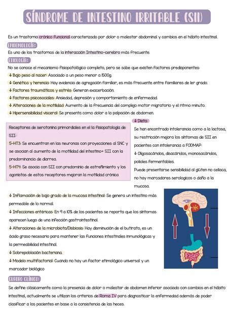 Síndrome de Intestino Irritable Medicina zip uDocz