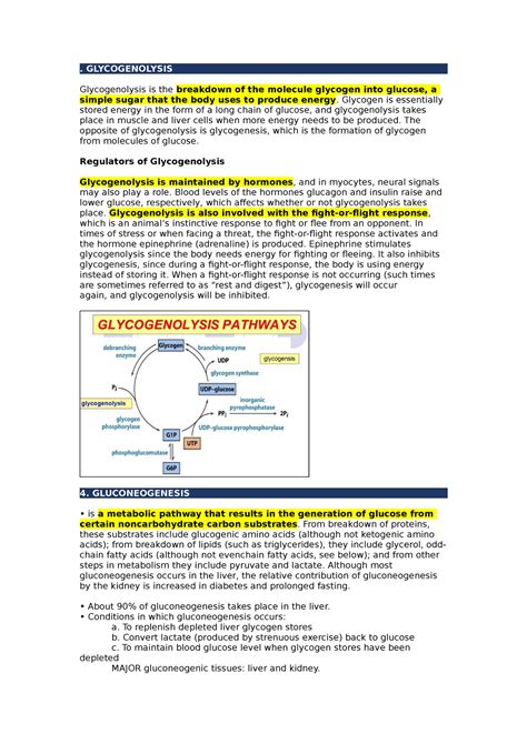 Glycogenolysis And Gluconeogenesis Glycogenolysis Glycogenolysis Is