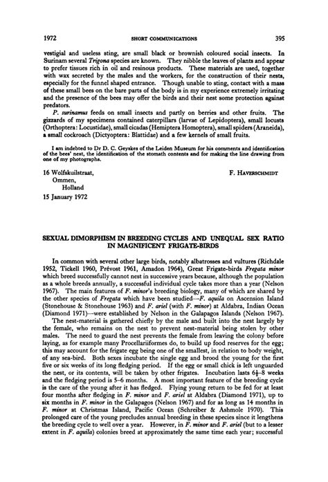 Pdf Sexual Dimorphism In Breeding Cycles And Unequal Sex Ratio In Magnificent Frigatebirds
