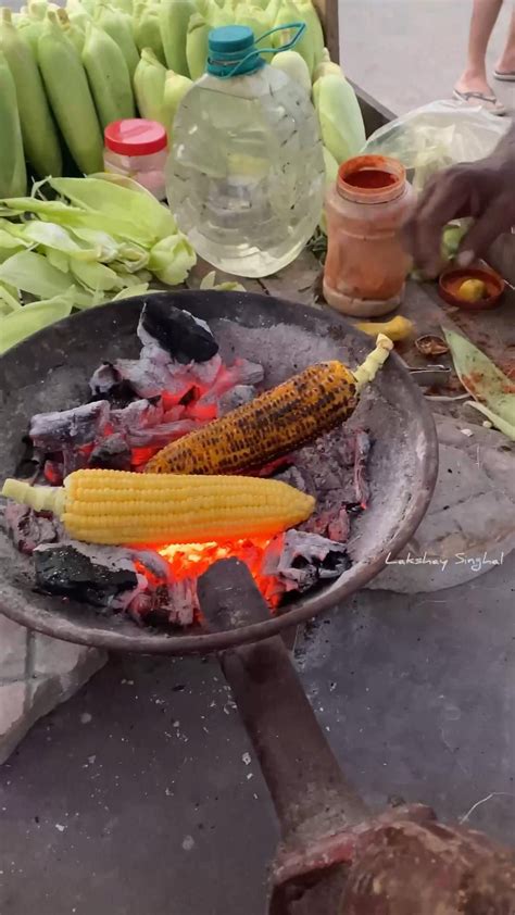 Saguna Baug Agro Tourism Farm Artofit