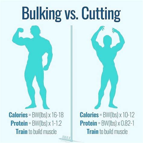 Bulking And Cutting Workout Ricekaser