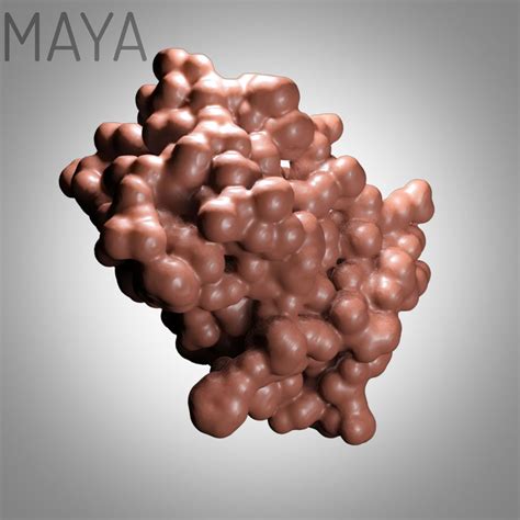 3d Leptin Satiety Hormone