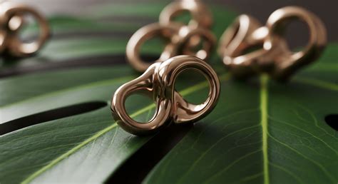 Circular Economy Verification Protocols → Term