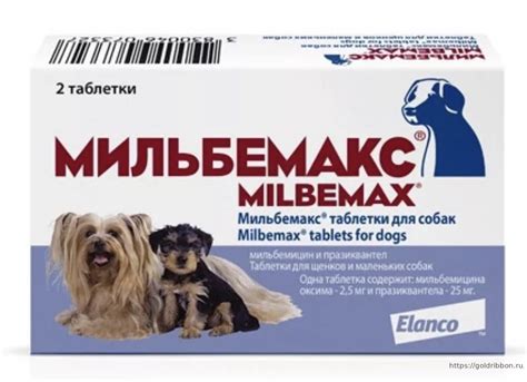 глистогонные средства для собак