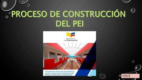 Proceso De Construcción Del Pei Ppt