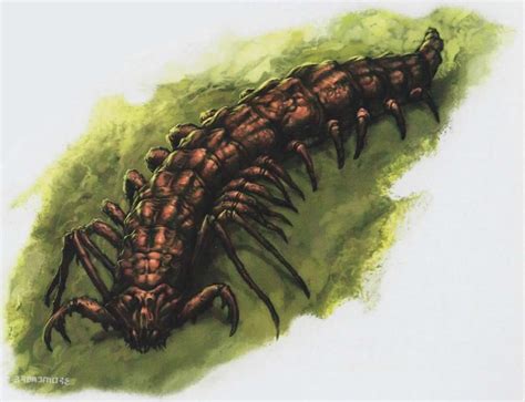 Skull Island Bugs Wikizilla The Kaiju Encyclopedia