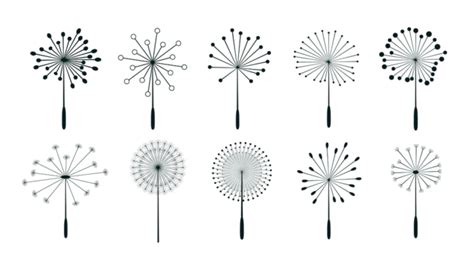 Dandelion Flower Seeds Background Design Botany Plant Blow Png And